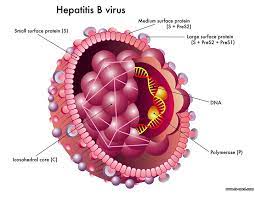 Kabar Baik, Hepatitis Misterius Belum Tentu Mewabah Luas