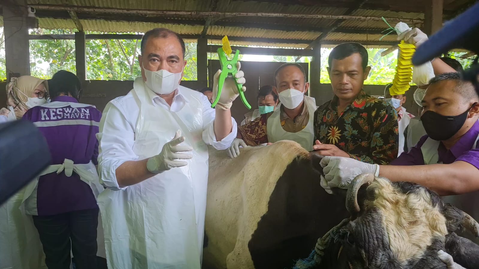 Hari ini Vaksinasi PMK Secara Nasional, Dimulai di Jawa Timur