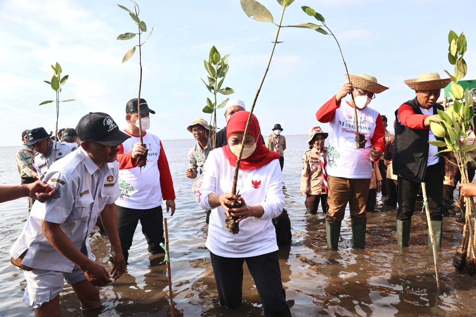 Gubernur Jatim Ajak Sedekah Oksigen Dengan Menanam Mangrove
