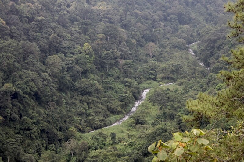 Memutus Mata Rantai Pemburu Satwa di Taman Hutan Rakyat (Tahura) R. Soerjo