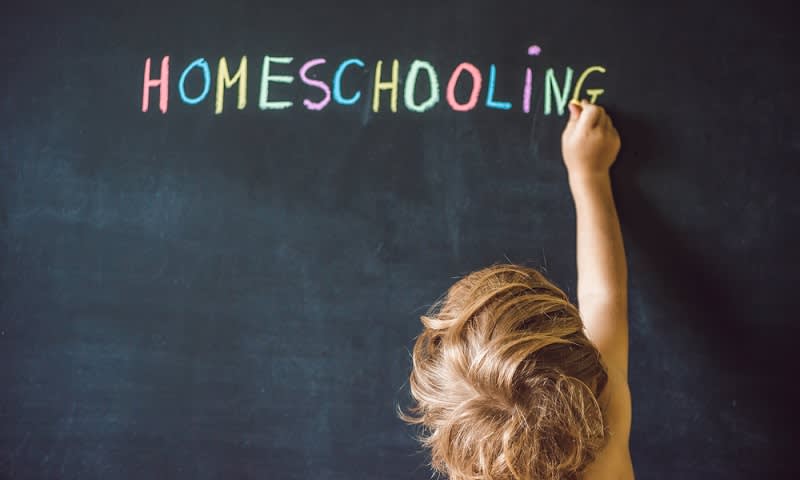 Homeschooling, Masyarakat Wajib Tahu Agar Tidak Keliru