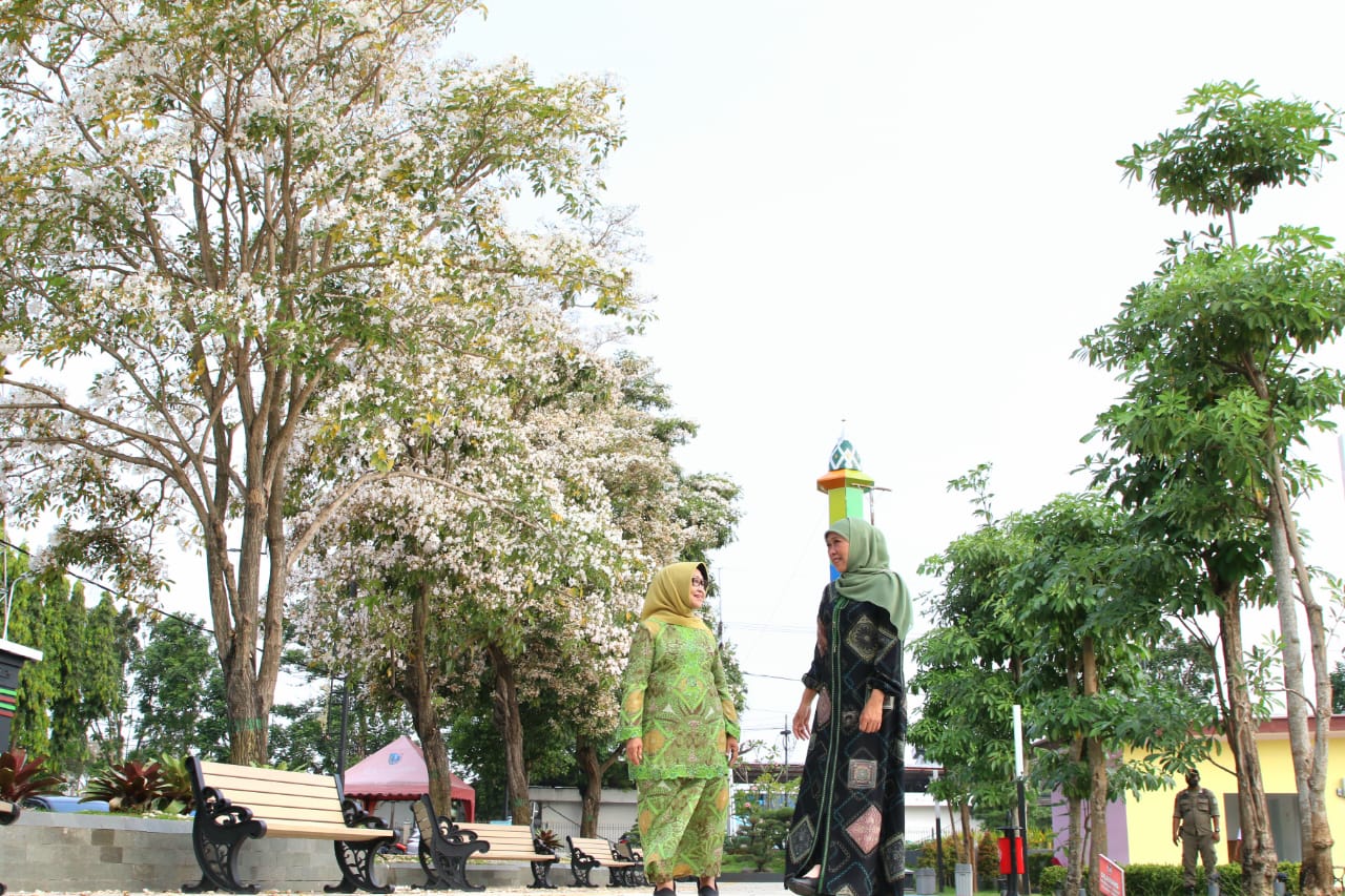 Indahnya Bunga Tabebuya di Jombang, Suasana Jalan Bak Negeri Sakura