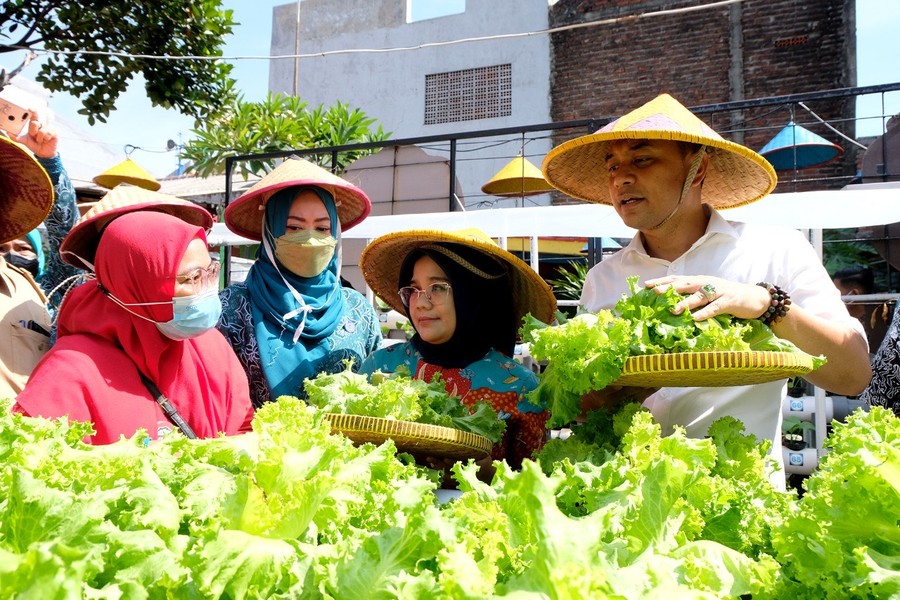 Menengok Hijaunya Kampung Sayur Ahong Kenjeran Surabaya