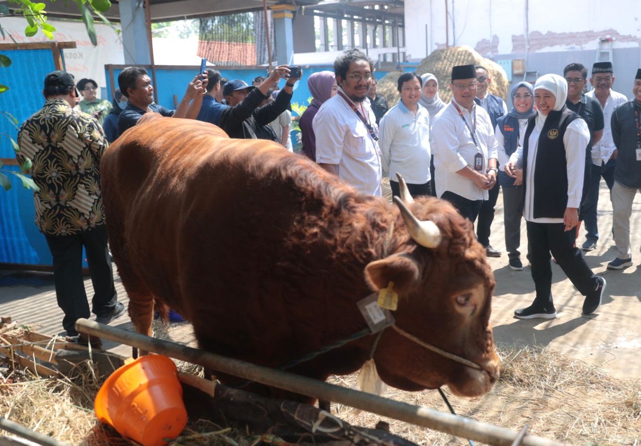 Gubernur Jatim Imbau Penyembelihan Hewan Kurban Terapkan Prinsip 'Animal Welfare'