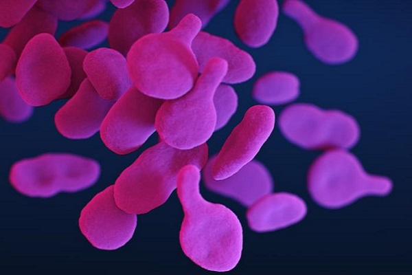 Kemenkes Selidiki Enam Kasus Mycroplasma Pneumonia Secara Epidemiologi