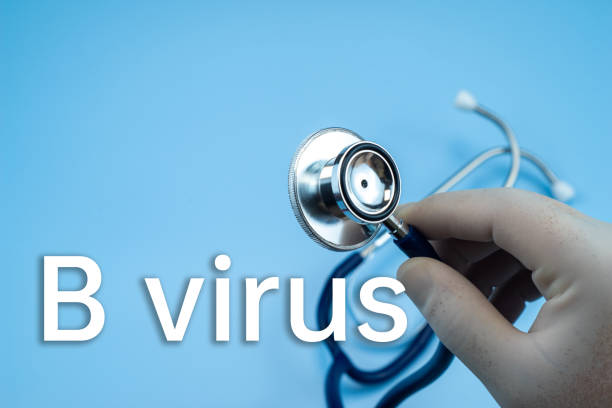 Kemenkes Tegaskan Belum Ada Risiko Kasus Virus B di Indonesia