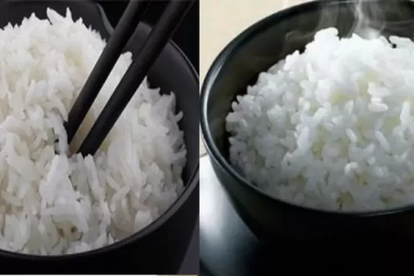 Nasi Hangat vs Nasi Dingin: Mana Lebih Sehat?