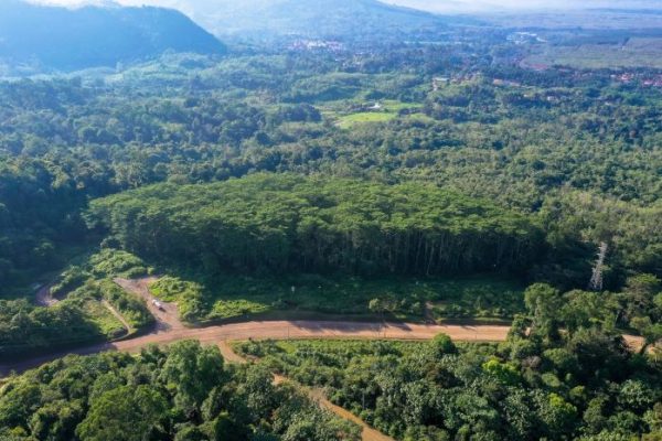 Menambang Kehidupan, Bukan Sekadar Emas: Jejak Hijau Martabe di Jantung Sumatra