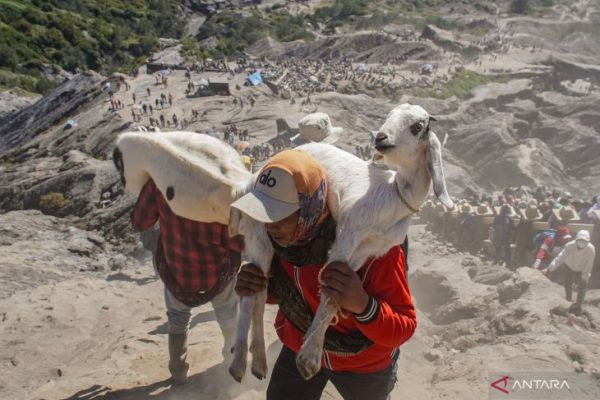 Kasada di Puncak Bromo: Ketika Syukur Dipersembahkan dari Lereng Gunung Suci